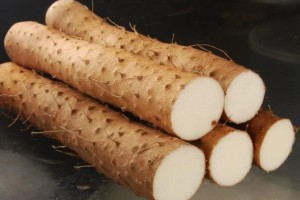 山药别只会煲汤加两个鸡蛋教你一个新吃法酥脆甜美馋哭了 山药别只会煲汤加两个鸡蛋教你一个新吃法酥脆甜美馋哭了