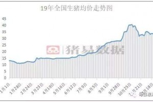 2019年猪肉商场回头看最贵的时分养100头猪能净赚28万元 2019年猪肉商场回头看最贵的时分养100头猪能净赚28万元