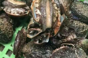 女生都特爱吃可是不好意思点的5道菜会点给女生的都是暖男 女生都特爱吃可是不好意思点的5道菜会点给女生的都是暖男