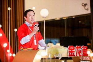 用健康点亮奥运新年金龙鱼携薇娅田亮敞开元气2020 用健康点亮奥运新年金龙鱼携薇娅田亮敞开元气2020