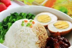 甘旨菜谱家常卤肉饭
