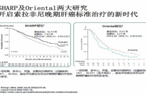 王东从黑夜到白日晚期肝癌药物医治的两次革新 王东从黑夜到白日晚期肝癌药物医治的两次革新