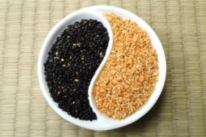 乡村这一野味人们只吃种子现在叶子成了香饽饽20一斤买不到 乡村这一野味人们只吃种子现在叶子成了香饽饽20一斤买不到