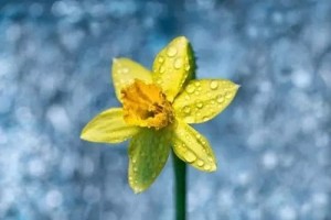 难忘2019一次团聚一个对视一场牌局…… 难忘2019一次团聚一个对视一场牌局……
