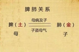 身体有肺火本源可能在脾胃 身体有肺火本源可能在脾胃