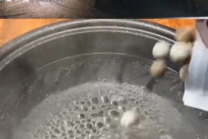 小厨娘做王俊凯同款奶茶开端这能喝吗制品先给我来两杯