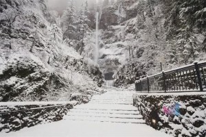 冰天雪地今日小寒 冰天雪地今日小寒