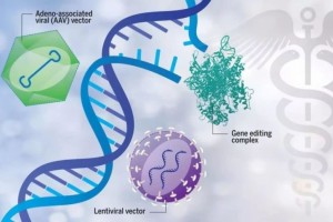 Science平地风波公认最安全基因治疗载体AAV竟有潜在致癌性 Science平地风波公认最安全基因治疗载体AAV竟有潜在致癌性