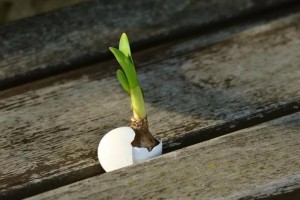 觅蕊备孕故事AMH0.04老公少弱畸精怎么逢凶化吉 觅蕊备孕故事AMH0.04老公少弱畸精怎么逢凶化吉