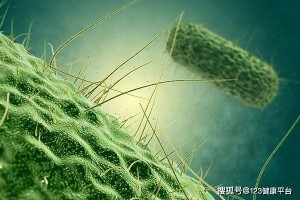 幽门螺旋杆菌的症状幽门螺旋杆菌感染吗 幽门螺旋杆菌的症状幽门螺旋杆菌感染吗