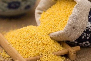 小米这样吃赛过吃燕窝别怪我没告知你 小米这样吃赛过吃燕窝别怪我没告知你