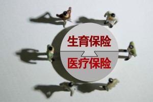 武汉发作不明原因肺炎后世卫安排声明亮了
