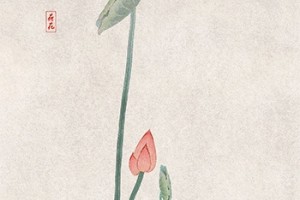 甘旨素菜之蜜汁八宝饭 甘旨素菜之蜜汁八宝饭