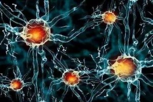 什么是模仿生物电流它为什么能够协助青春期后乳房再次生长增大 什么是模仿生物电流它为什么能够协助青春期后乳房再次生长增大