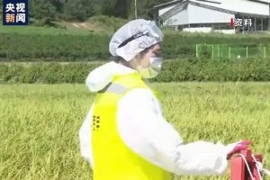 韩国非洲猪瘟继续1月已确诊11起病例 韩国非洲猪瘟继续1月已确诊11起病例