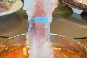 我被一家活鱼馆上了一课太多没见过的鱼摆摆超级nice 我被一家活鱼馆上了一课太多没见过的鱼摆摆超级nice
