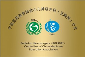 中国医药教育协会小儿神经外科(互联网)分会建立大会在西安举行 中国医药教育协会小儿神经外科(互联网)分会建立大会在西安举行