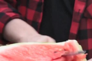 食物放在冰箱里能够保鲜多久西瓜在冷冻室放了一年在切开后惊了 食物放在冰箱里能够保鲜多久西瓜在冷冻室放了一年在切开后惊了