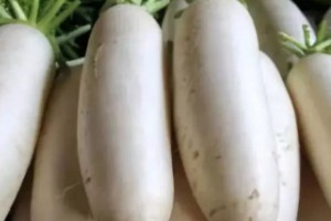 冬季白萝卜和它一同炖隔三差五来一碗暖胃健脾咳嗽不咳早知早获益