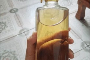 梨酒中的梨怎么塞进去的网友一脸利诱想了几年没理解 梨酒中的梨怎么塞进去的网友一脸利诱想了几年没理解