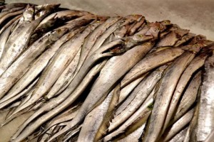 海鲜简史为了吃海鲜咱们终究有多拼