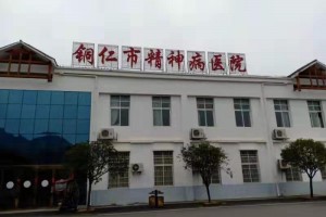 蒙泰护理磁控约束带质量与服务同行 蒙泰护理磁控约束带质量与服务同行