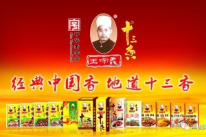 河南十大品牌榜中榜——王守义十三香 河南十大品牌榜中榜——王守义十三香