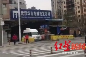 武汉新式肺炎感染者家族亲述现已治好出院被阻隔时经过视频联络