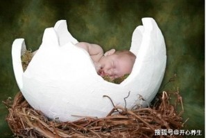 孕晚期孕妈吃这7种食物有利于宝宝去胎毒还能防备宝宝黄疸哟 孕晚期孕妈吃这7种食物有利于宝宝去胎毒还能防备宝宝黄疸哟