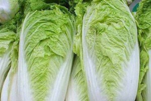 女人不想子宫脏脏的多吃4种食物排出毒素滋补女人子宫 女人不想子宫脏脏的多吃4种食物排出毒素滋补女人子宫