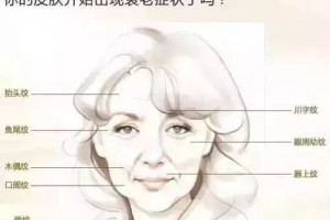 葛粉为什么那么火每天一碗让你健康又诱人 葛粉为什么那么火每天一碗让你健康又诱人
