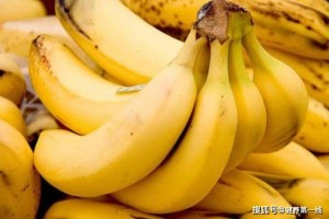香蕉是个好东西养分丰厚价值高坚持食用3大优点不速之客 香蕉是个好东西养分丰厚价值高坚持食用3大优点不速之客