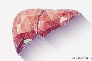 养肝达人发布把它列入饮食清单肝硬化或主动退避