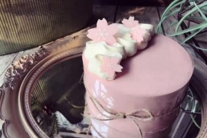 日式风格慕斯蛋糕火龙果汁做樱花装点粉嫩可人特美观 日式风格慕斯蛋糕火龙果汁做樱花装点粉嫩可人特美观