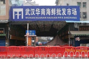 这场疫情教会了咱们5件小事每一件都关乎全家的生命健康 这场疫情教会了咱们5件小事每一件都关乎全家的生命健康