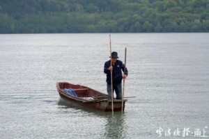 宁波人爱吃的这道甘旨肥美正当时再不吃就晚了最好吃的做法是…