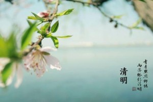 医讯广东省中医院清明节假日门诊开诊组织