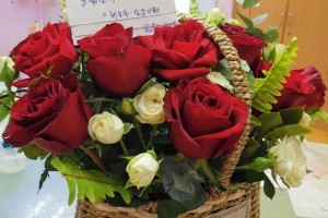 一份看护一份感恩 一份看护一份感恩