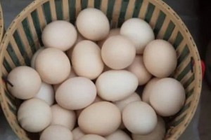 老婆把30个鸡蛋丢进油锅家人开端不理解出锅后却都抢着吃 老婆把30个鸡蛋丢进油锅家人开端不理解出锅后却都抢着吃