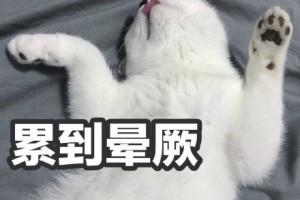 雀巢求你别出零食啦我的肚子真占不下了 雀巢求你别出零食啦我的肚子真占不下了