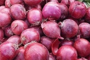 人到中年离不开4种食物养分丰厚补养身体早吃早获益 人到中年离不开4种食物养分丰厚补养身体早吃早获益