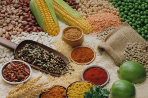 科普与医学相关的养分与代谢方面的新概念（食物纤维功用篇）