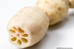 女人要常吃4种天然黄体酮有助于远离妇科病少花冤枉钱 女人要常吃4种天然黄体酮有助于远离妇科病少花冤枉钱