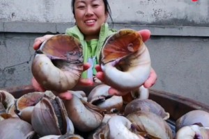 妹子买巴掌大的扁螺150元8斤掰开后网友从速丢掉