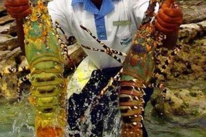 非洲人有些疑惑这东西咱们挨饿也不吃为何中国人却抢着吃