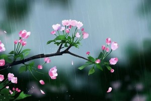 4月最终一个摄生节气6招食养轻松养肝更健脾 4月最终一个摄生节气6招食养轻松养肝更健脾