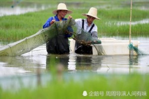 摇动的舌尖吮吸着青花麻的汤汁干煸火爆的小龙虾要通过一次变身 摇动的舌尖吮吸着青花麻的汤汁干煸火爆的小龙虾要通过一次变身
