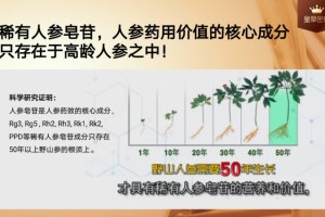 细胞守护者皇草密码，致力于唤醒大众系统健康管理观念