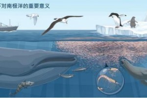 “10亿金矿”南极磷虾资源争夺升级，中挪企业大PK结局亮了！